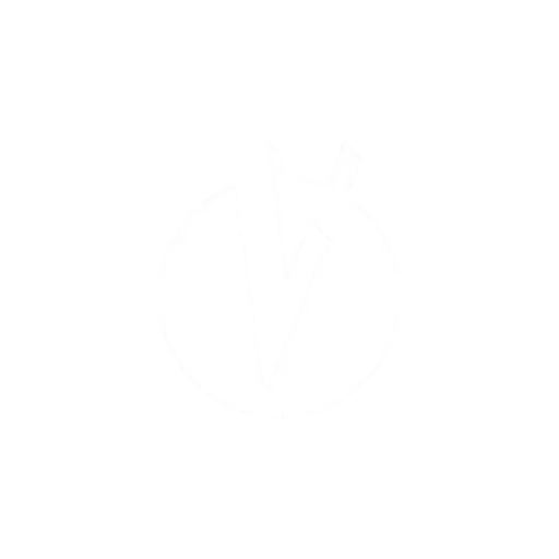 Marque LOST VAPE